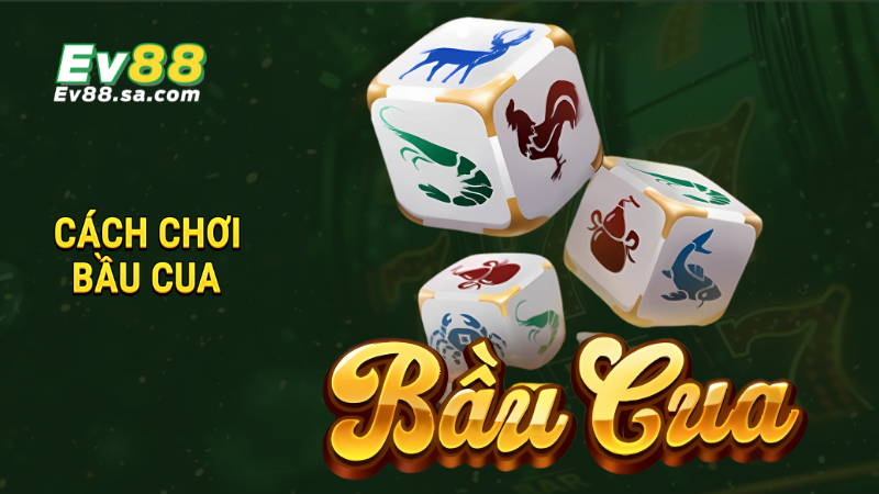 Cách chơi Bầu Cua - Luật cơ bản và chiến thuật hiệu quả 1 Cách chơi Bầu Cua