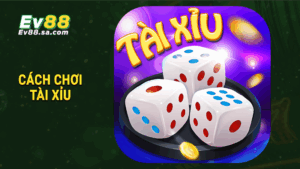 Cách chơi tài xỉu