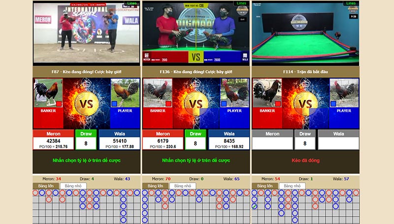 Đá Gà Trực Tiếp EV88 1 Giao diện Đá gà EV88 với nhiều màn hình theo dõi cùng lúc