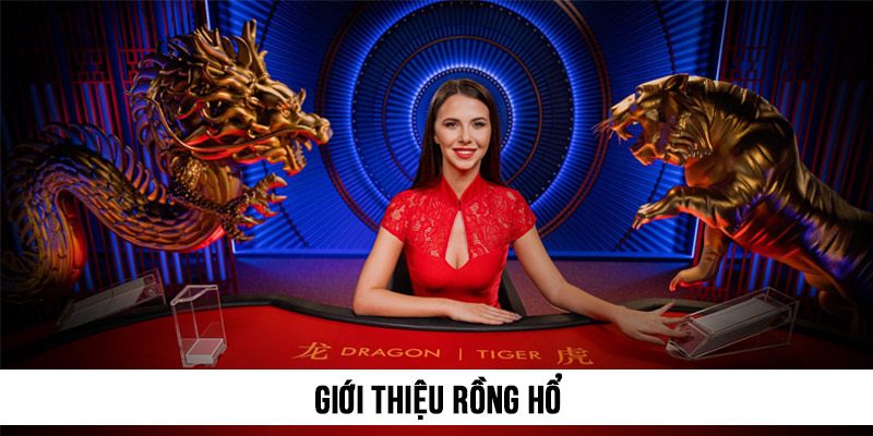 Rồng Hổ EV88 1 Giới thiệu Rồng Hổ