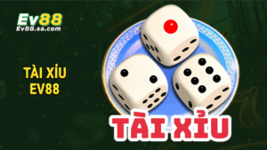 Trang chủ 17 Tài Xỉu