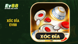 Trang chủ 19 Xóc đĩa